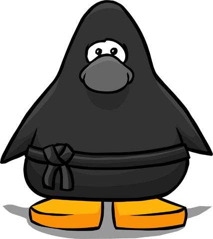 File:Ninja Outfit PC.png