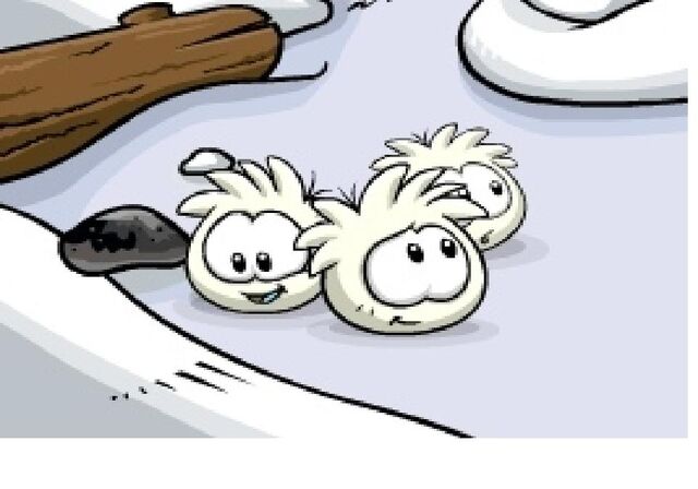 File:White-puffles.jpg