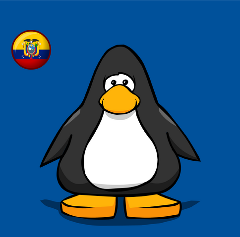 File:Ecuador Flag on a Player Card.png