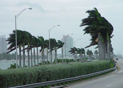 File:Florida.jpg