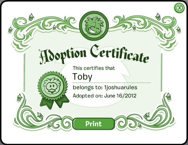 File:TobyCertificate.png