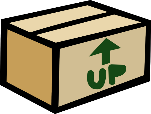 File:CardboardBoxPinGary'sRoom.png