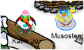 Thumbnail for version as of 16:56, June 19, 2013