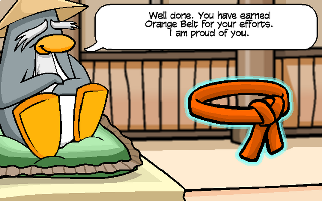 File:Orange BElt.png