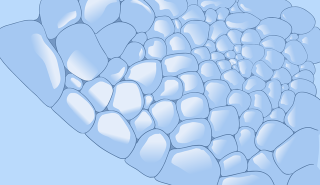 File:Igloowoo.png