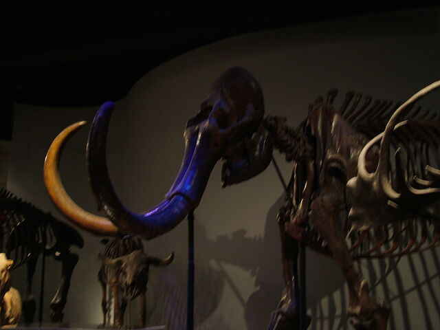 File:DSCF1760.jpg