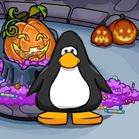 File:Clothing 9233 player card.png