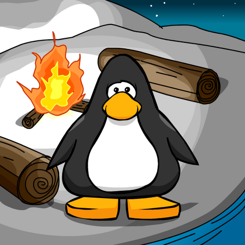 File:CampfireBGPC.png