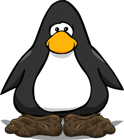 File:Villager Shoes PC.png