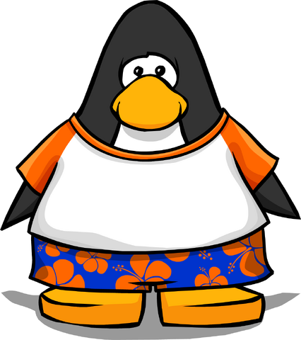 File:OrangehawaiianoutfitPC2.png