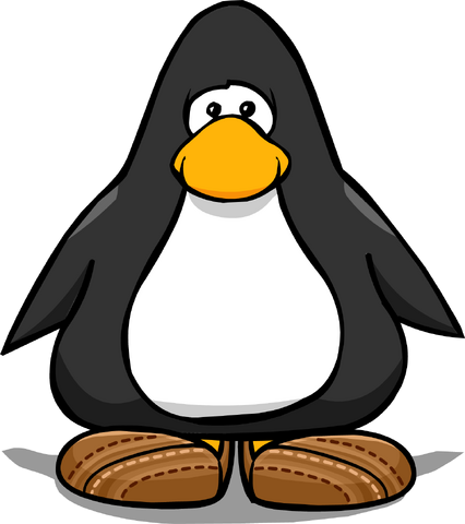 File:BrownCanvasShoesPC.png