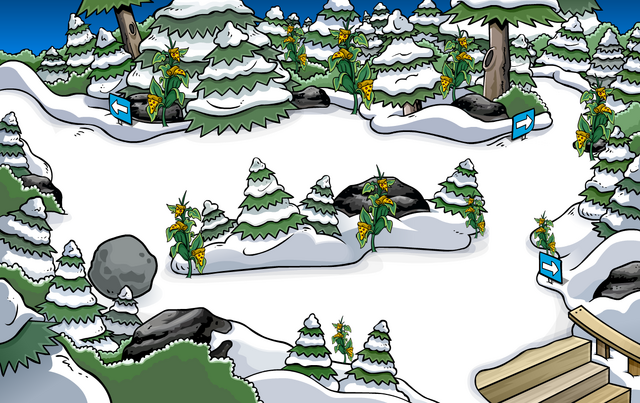File:ThePizzaPartyForest.png
