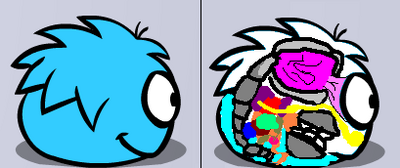 Puffleanatomy
