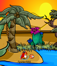 Island