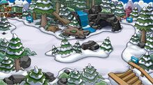 Image.forest