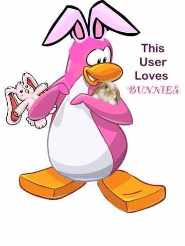File:Bunny.jpg