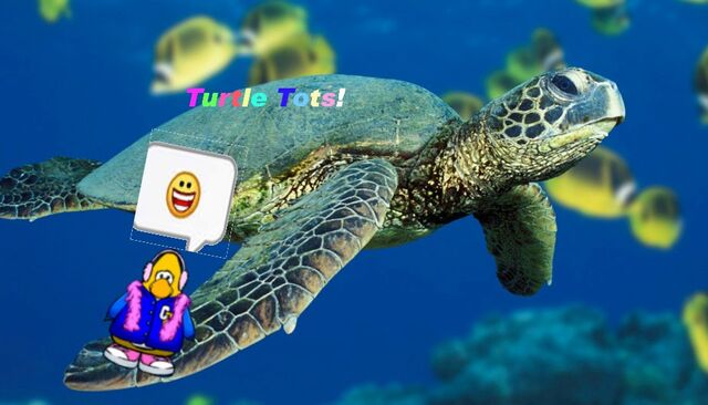 File:Turtletotslogo.jpg