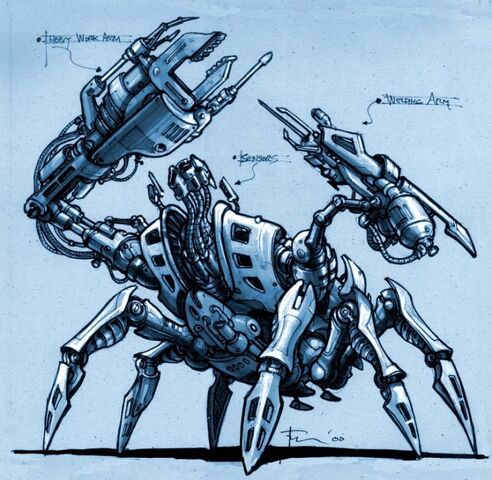File:Fiddler crab.jpg