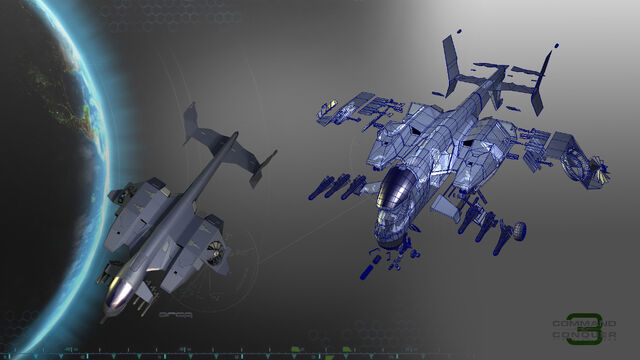 File:Orca1.jpg