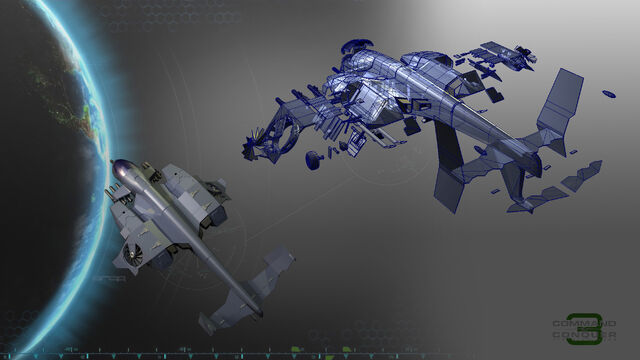 File:Orca2.jpg