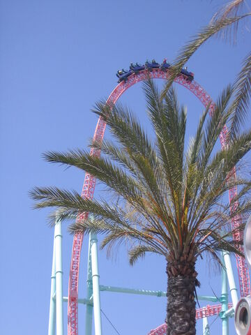 File:Xcelerator Top Hat.jpg