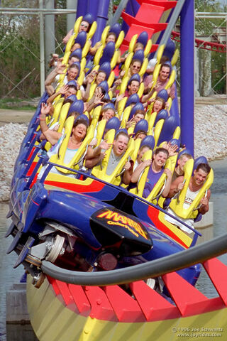 File:Mantis5.jpg