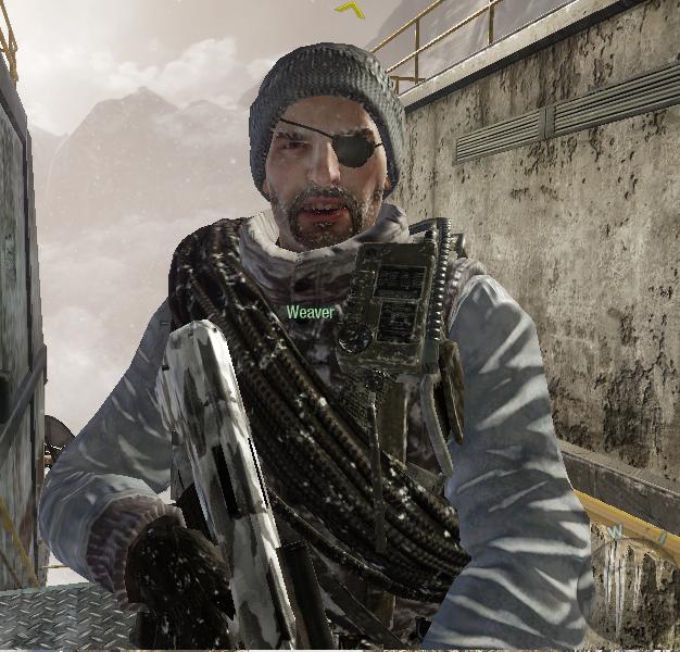 Archivo:Weaver nieve.JPG | Call of Duty Wiki | Fandom ...