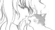 Mishiru chat.jpg