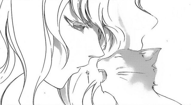 Fichier:Mishiru chat.jpg