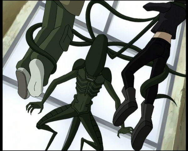 File:Episodio8.jpg