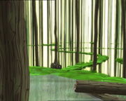 Forêt.jpg