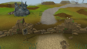 Wildy pared.png