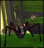 Tarentule2.png