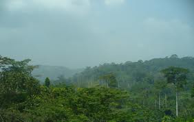 File:Cameroon.jpg