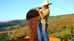Mexicanxcoffee-20-1600x901-41
