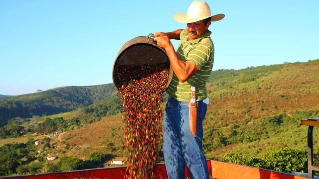 File:Mexicanxcoffee-20-1600x901-41.jpg