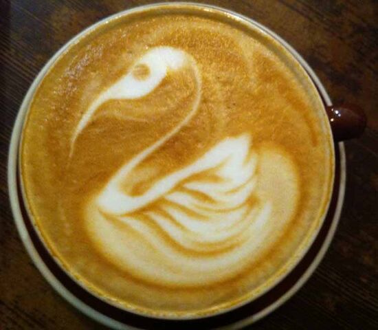 File:Swan.jpg