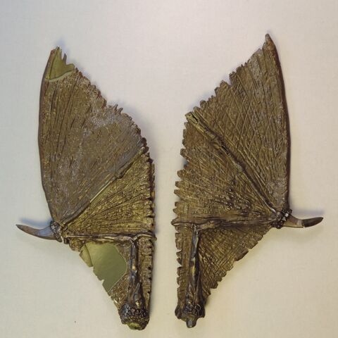 File:Dragon wings 2.jpg