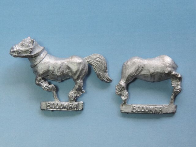 File:Bood Pony 4.jpg