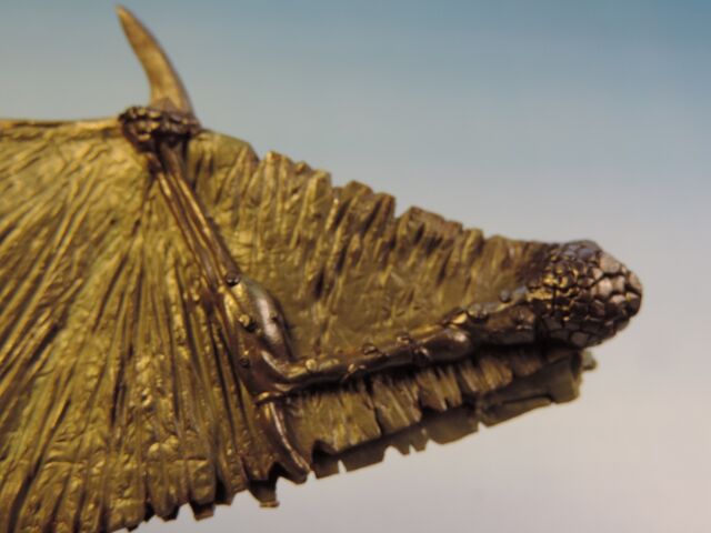 File:Dragon wings 12.jpg