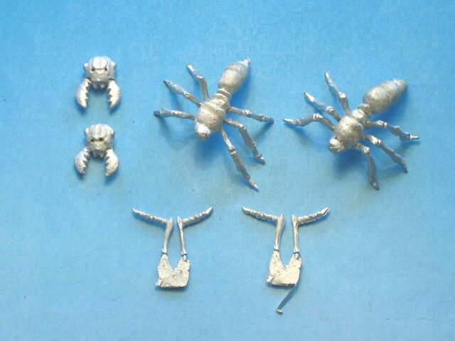 File:OW DV6b Giant Soldier Ants bits.jpg