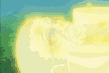 Pika Pika no Mi0-1--1--1-.gif