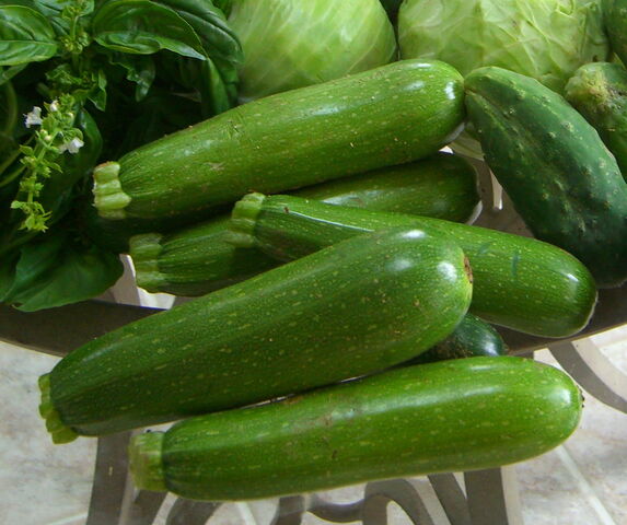 File:Zucchini.jpg