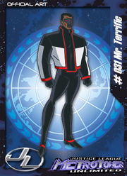 Mr terrific