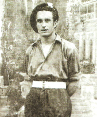 Fichier:Niel2.jpg