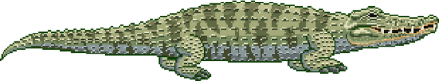 File:Crocodiles Position.png