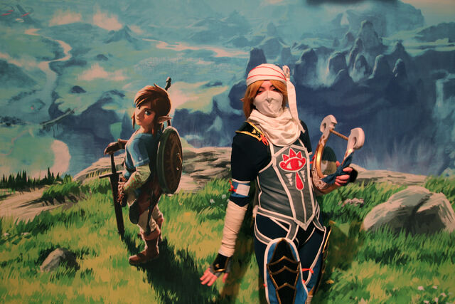 Fichier:Switch Zelda.jpg