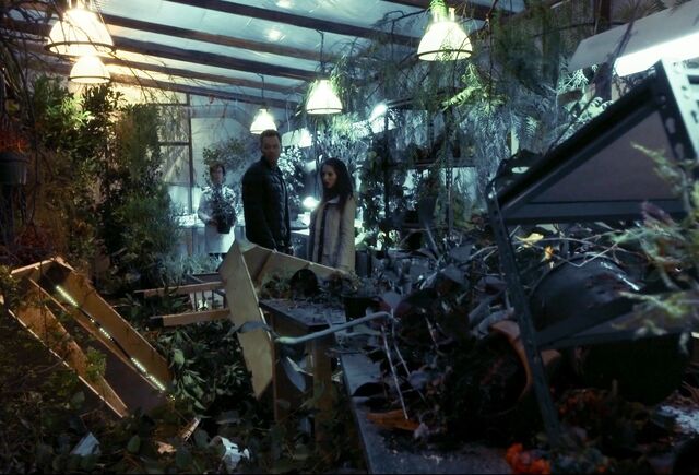 File:5X3 A messy investigation.jpg