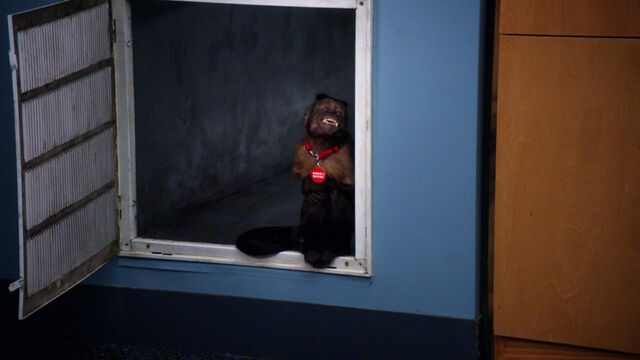 File:2x21 Annie's Boobs 14.jpg