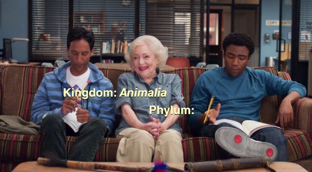 File:Anthropology Rap.jpg